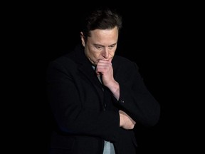 elon musk vw1215